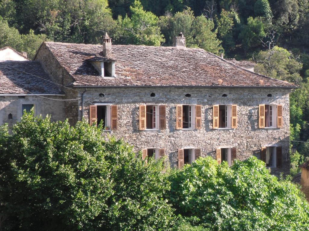 Chambre D'Hotes La Marlotte Castello-di-Rostino Exterior foto